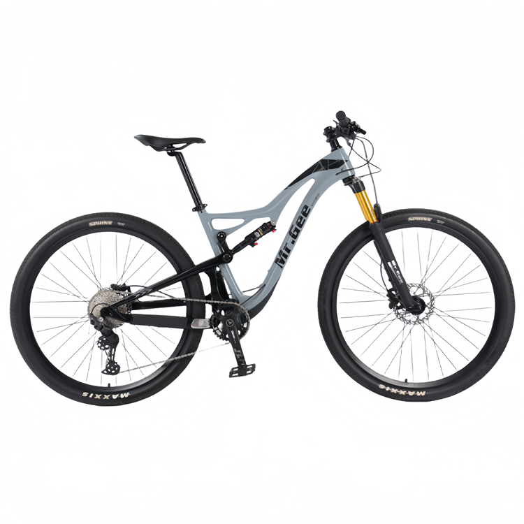 Kohlefaser-Fahrrad 29 Zoll Chi – Philippines Cycling Gear Bewertung und Preis